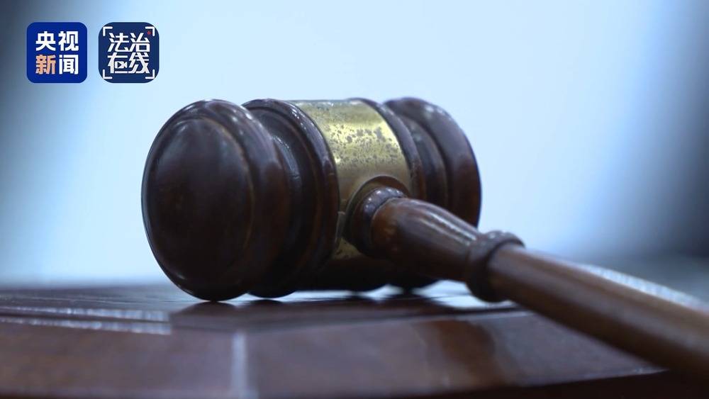 法治在线丨“梅姨”如何落网?何时公布照片?警方披露案件侦办细节