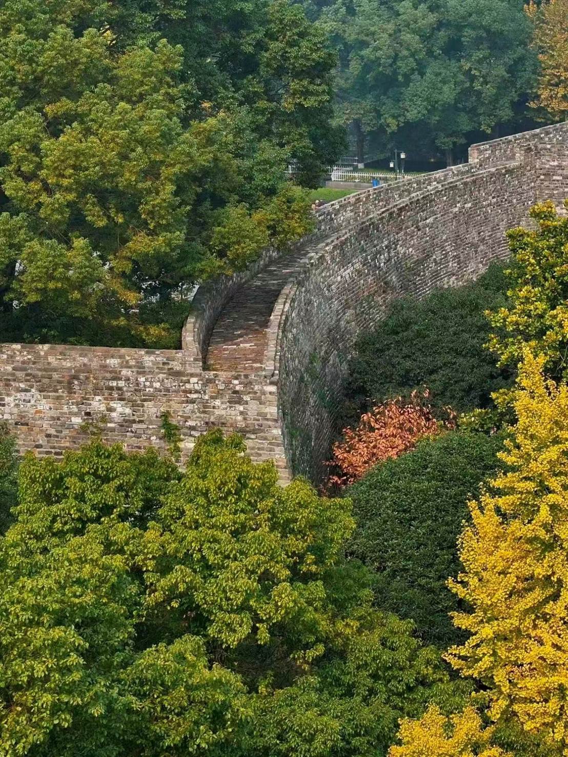 南京古城墙上，有湖南的“刘德华”