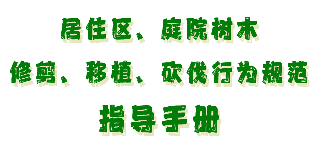 园林树木修剪规范