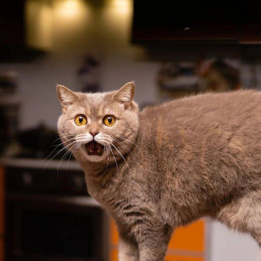 两年上涨1000倍！字节跳动，最新披露！