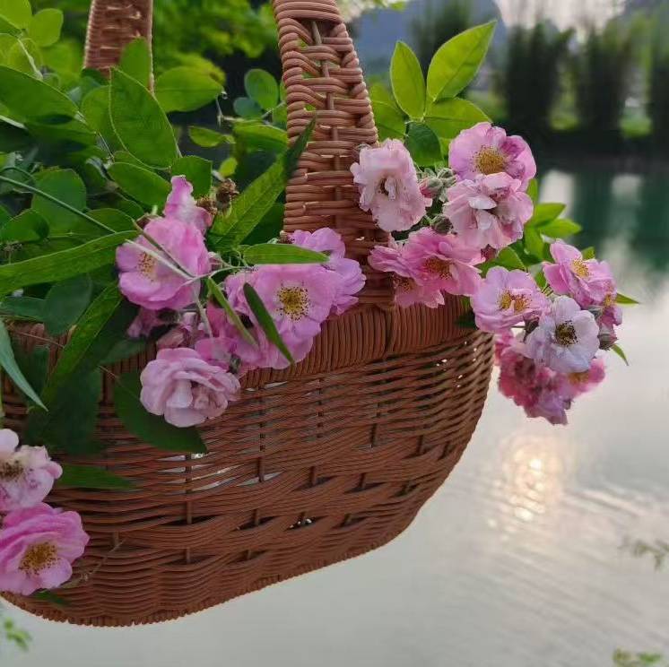 山东 ETC 注销流程全解_搜狐汽车_搜狐网