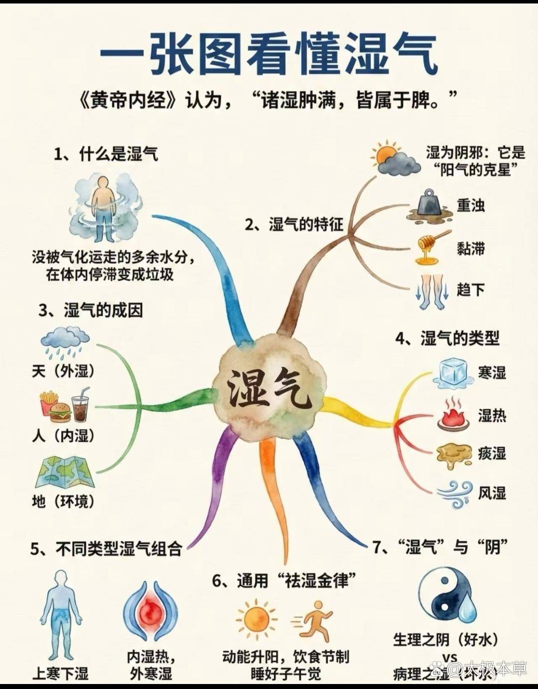 谁懂啊!终于把「湿气」这件事说明白了很多姐妹总觉得:早上醒不来、浑身沉得像灌了铅,吃一点就胀、大便粘马桶,脸油得反光还反复长痘…去看中医说「 ...