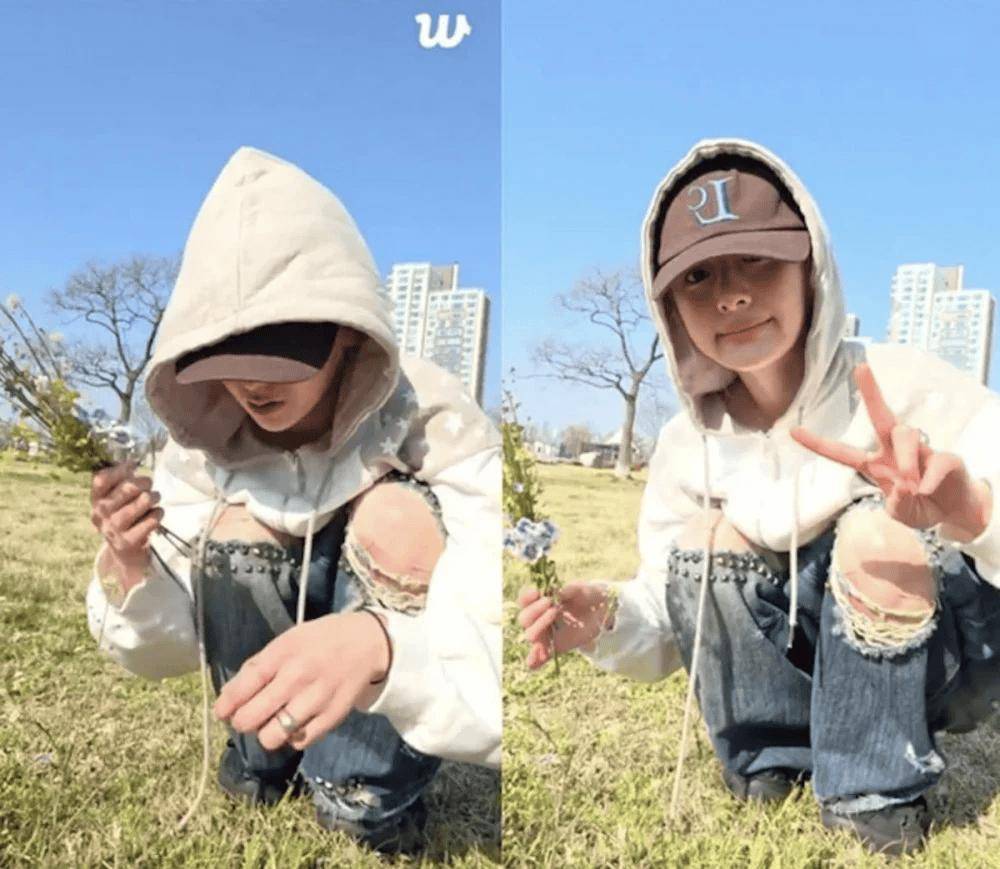 江边的野花不能采！知名女团成员为此道歉插图