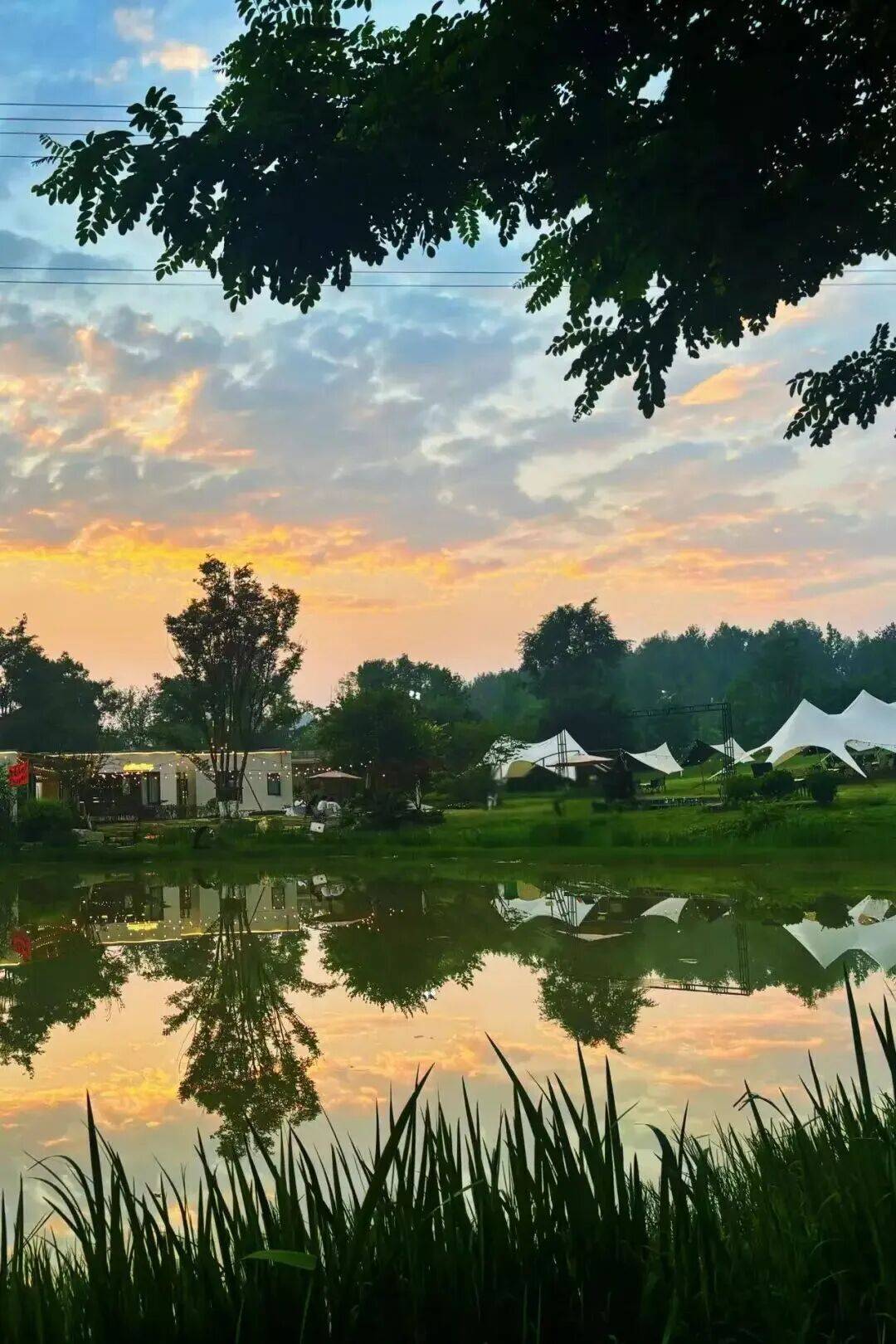 草坪野餐图片