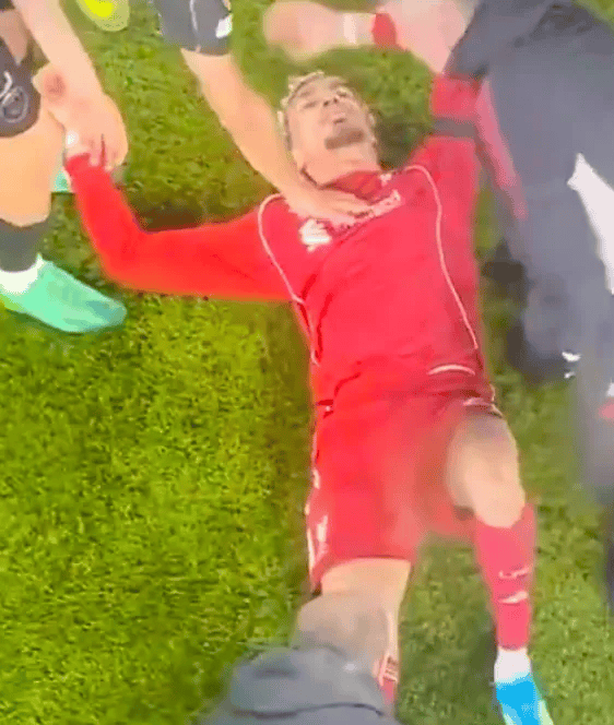 官方！赛季报销！利物浦9000万欧前锋无缘世界杯