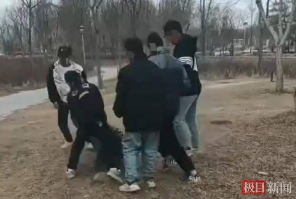 小学生遭9人群殴，岂能被白打了？