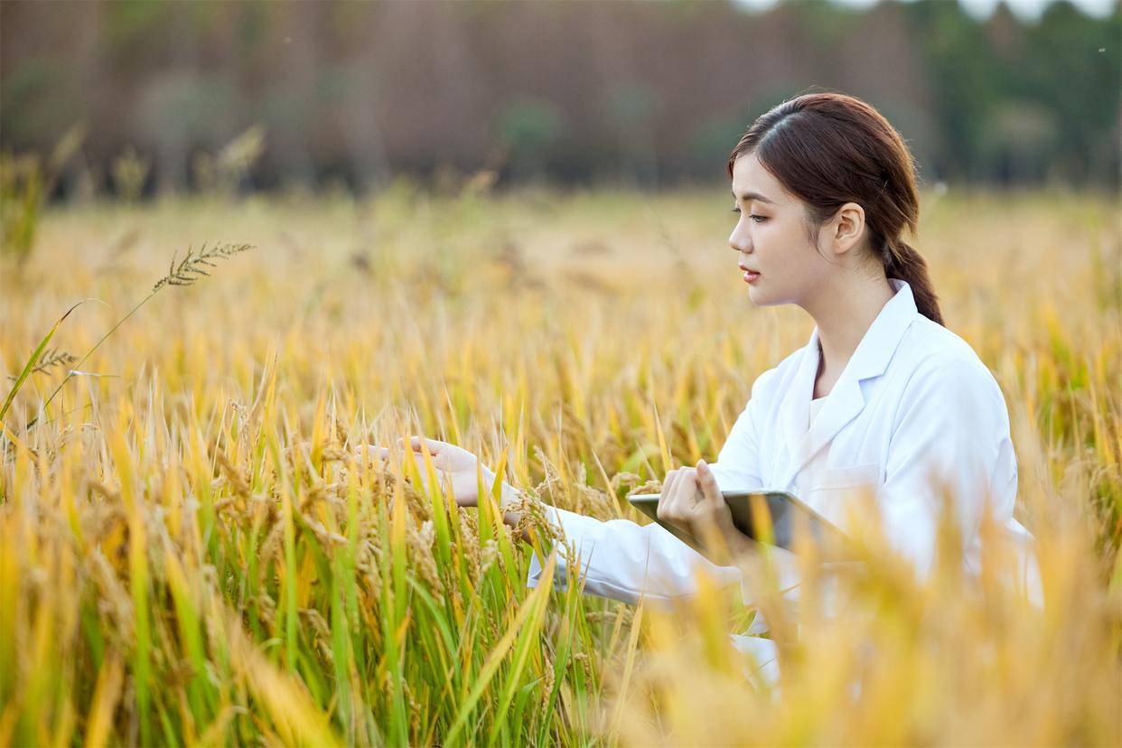 香港证监会抓捕6男2女背后 海致科技究竟