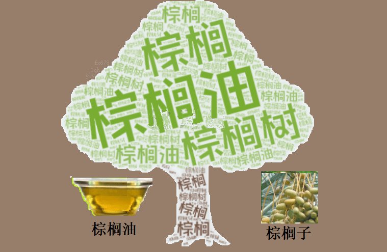 棕榈油逼近4639林吉特关键阻力：地缘脉冲与增产压力对撞，多头逻辑还剩多少时间窗口？