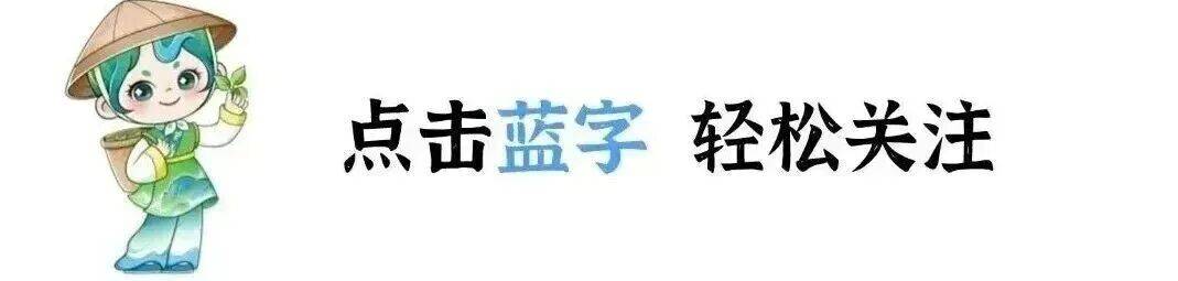 皖美宝藏小城·石台|五一漫游石台!赴山水之约,解锁非遗与野趣_活动_景区_游客