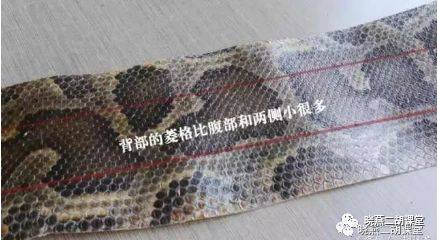买二胡别被“大鳞格”忽悠了！琴皮好坏，关键看这3点_搜狐网