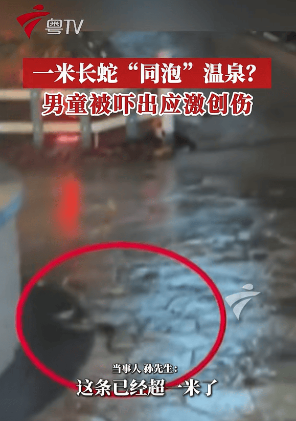 男子带9岁儿子到广州一酒店泡温泉碰到两条蛇，酒店回应