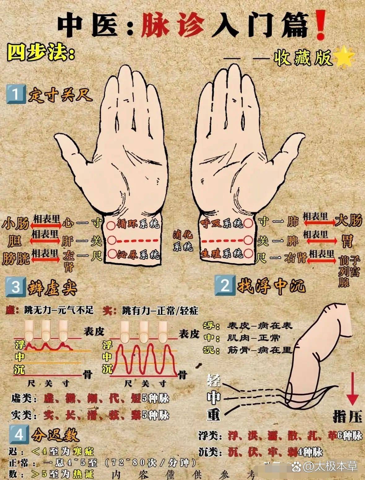 中医脉诊入门干货来了！从寸关尺定位、浮沉中沉指法，到28种常见脉象图谱，一次性讲清脉诊基础逻辑。脉诊不是玄学，是读懂身体信号的古老智慧，收藏 ...