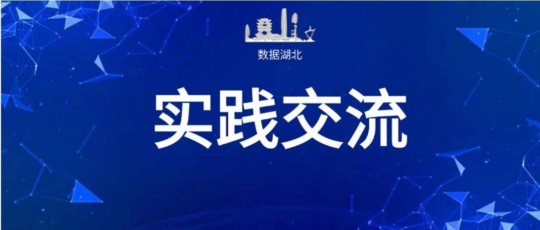 “打造全国数智经济一线城市”加速成势，武汉多模态大模型“能干活”了