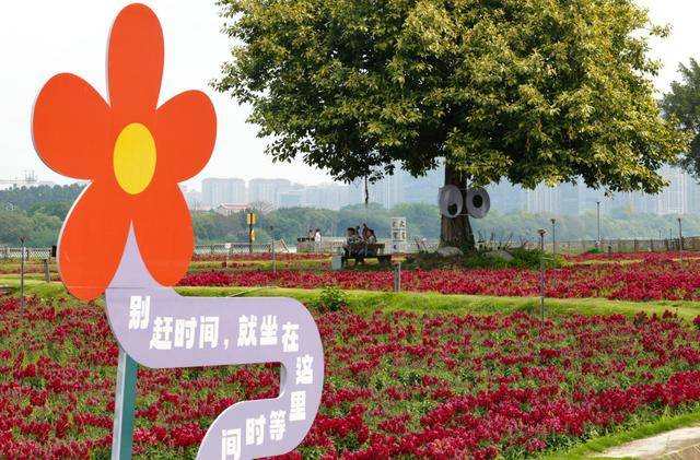 国常会审议通过《城市更新“十五五”规划》