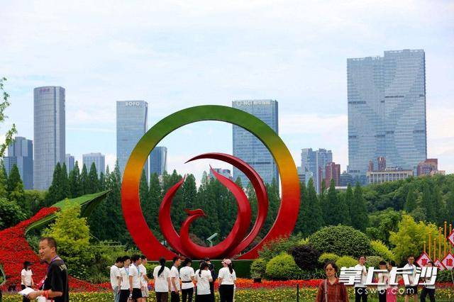 初夏长沙 生态油画｜组图