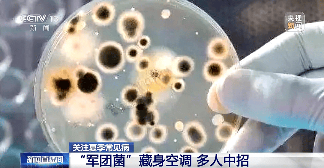 “左肺大面积感染”！男子连续3天高烧、干咳，居然和家里的电器有关！