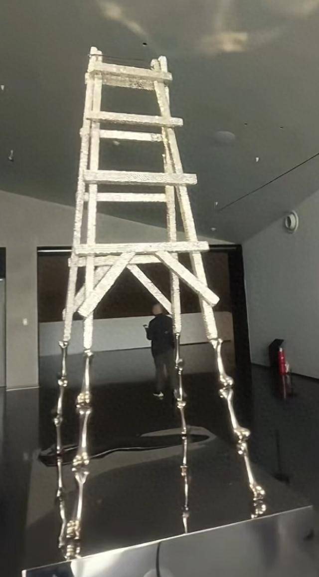 成都美术馆展出“梯子”艺术品，网友质疑“就是普通梯子”，馆方：上面嵌满几万颗水钻