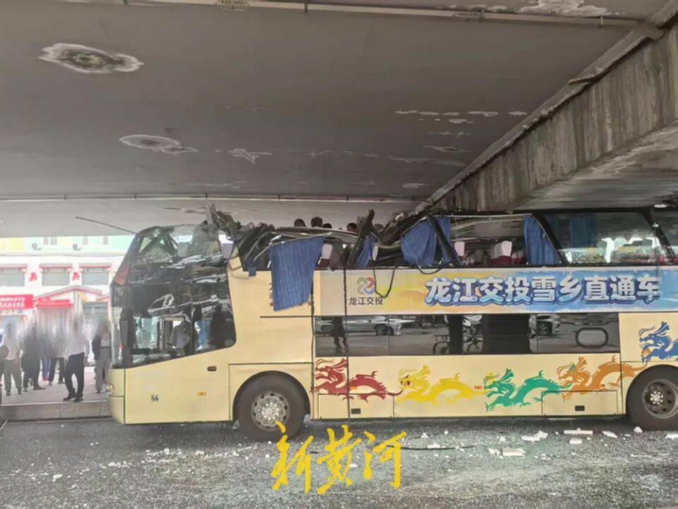 突發！哈爾濱一雙層巴士被高架橋“削頂”，當地：有乘客剮蹭受傷，系司機操作失誤海報