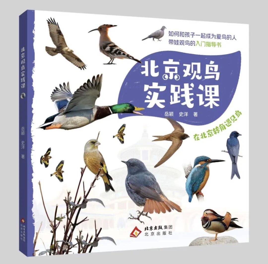 《北京观鸟实践课》新书即将上市，带你解锁城市观鸟新体验！