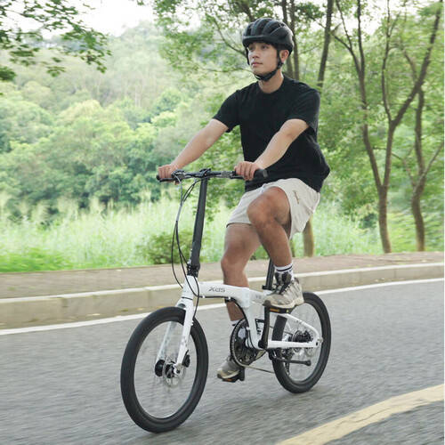 喜德盛（xds）W5 2025款折叠自行车体验评测：轻便与性能的完美结合