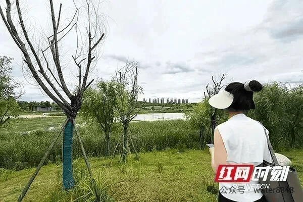 文章配图-13