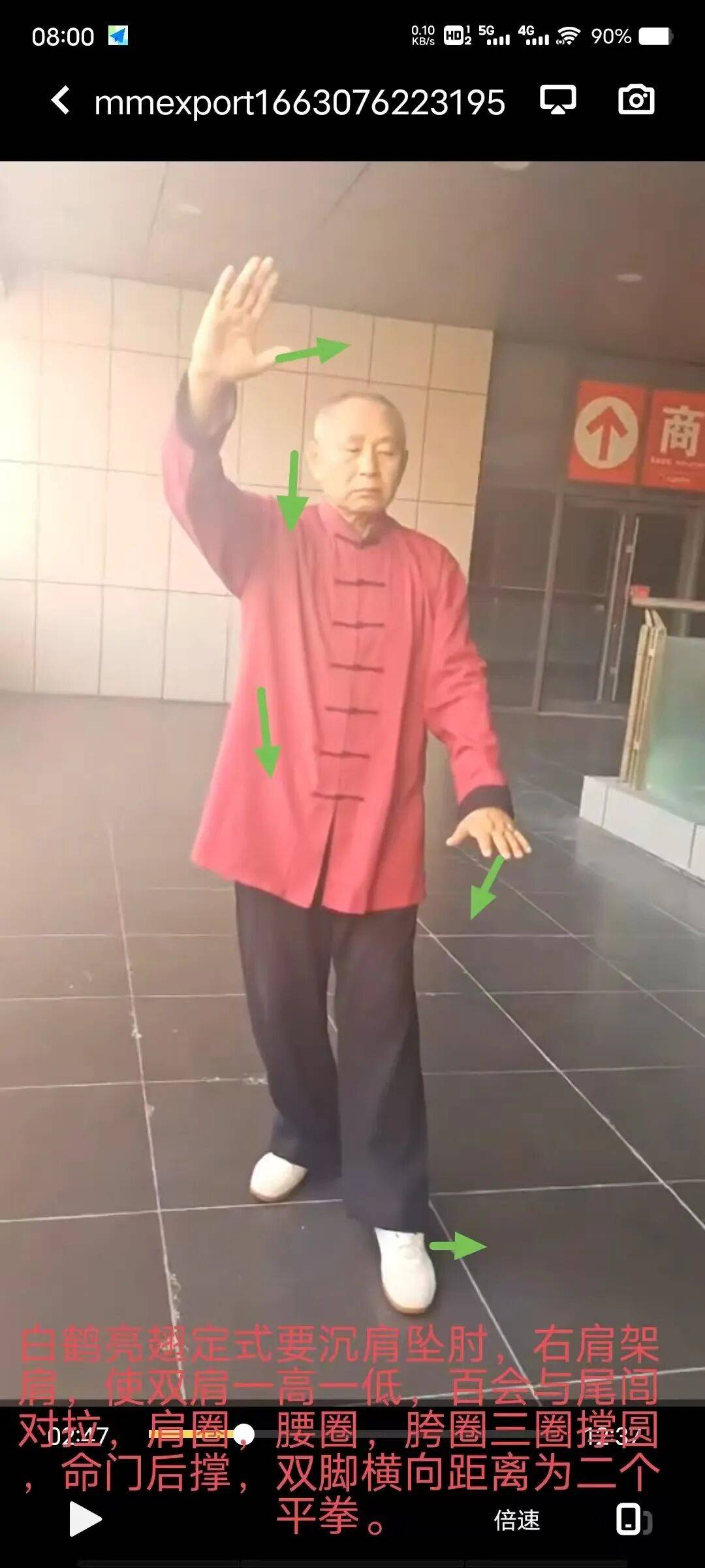 [每周点评]（20）尹进宁白鹤亮翅-搂膝拗步图解
