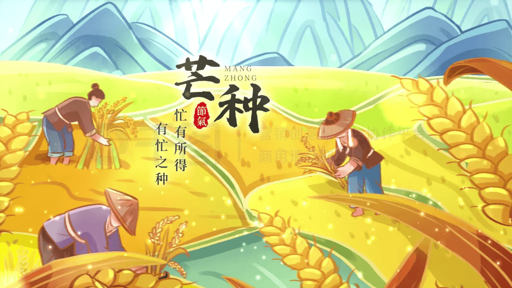 芒种一到，人像穿了件湿衣服？别急，三招教你清爽过夏天