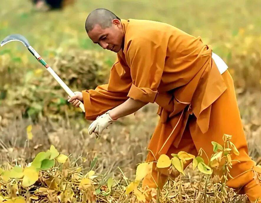 释印乐的几幅书法！