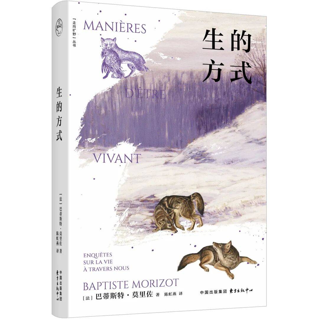 生的方式｜哲学新书联合书单2026年第4期