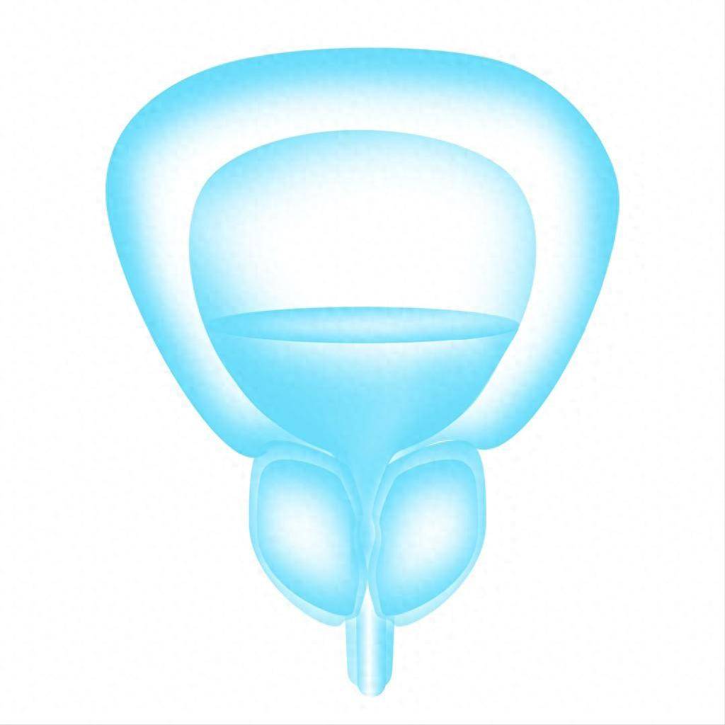 
        男人如何保养好前列腺？4件事引来前列腺炎，懂的人都不会碰