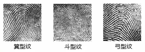 【物理原理】指纹解锁是什么原理？看完豁然开朗！
