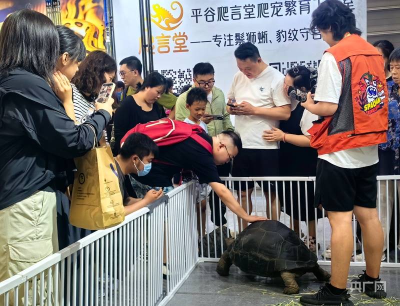 北京世界爬行动物及用品展落地平谷区马坊镇