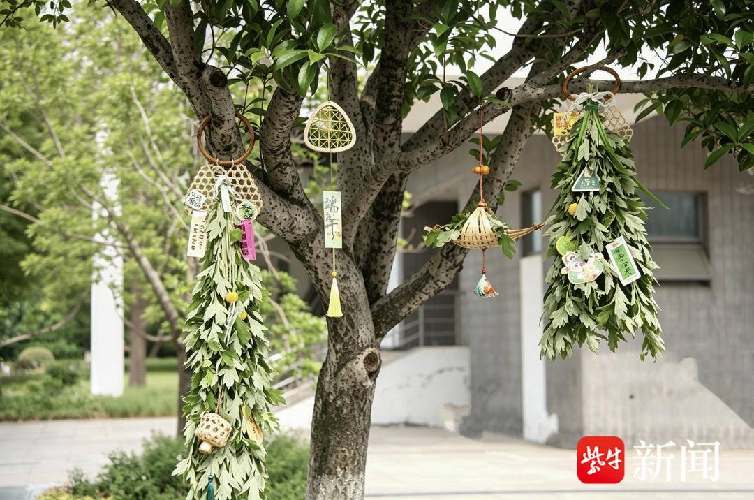 江苏农林学院学子竹编龙舟、制作艾草门挂，在指尖感受端午非遗魅力