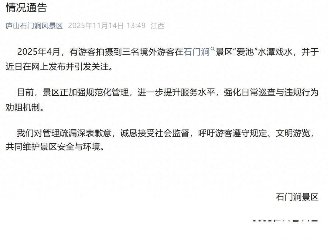 印度人南京街头制造闹剧，多国收紧签证，南京：规则面前不姑息！