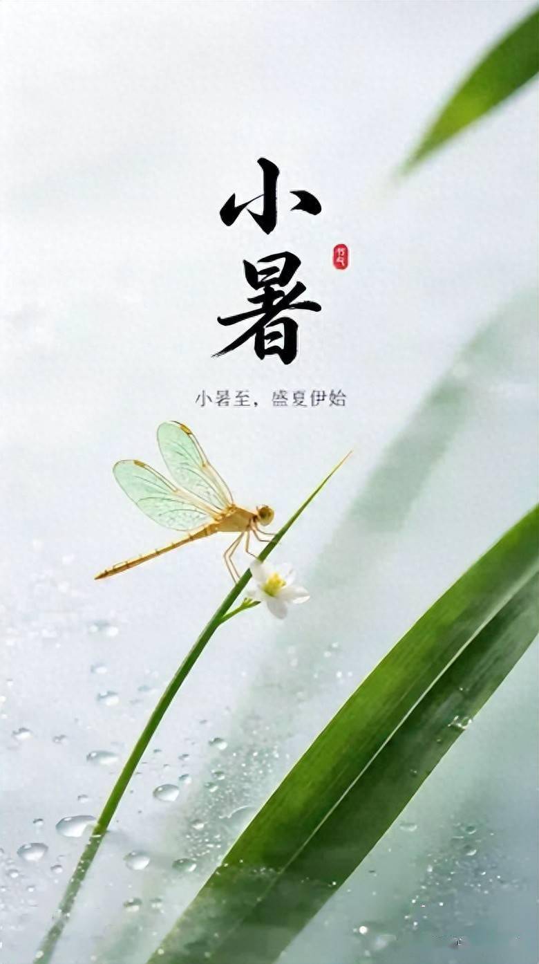 后天小暑，牢记：3不吃、2不做、4要吃，安康无忧过夏天