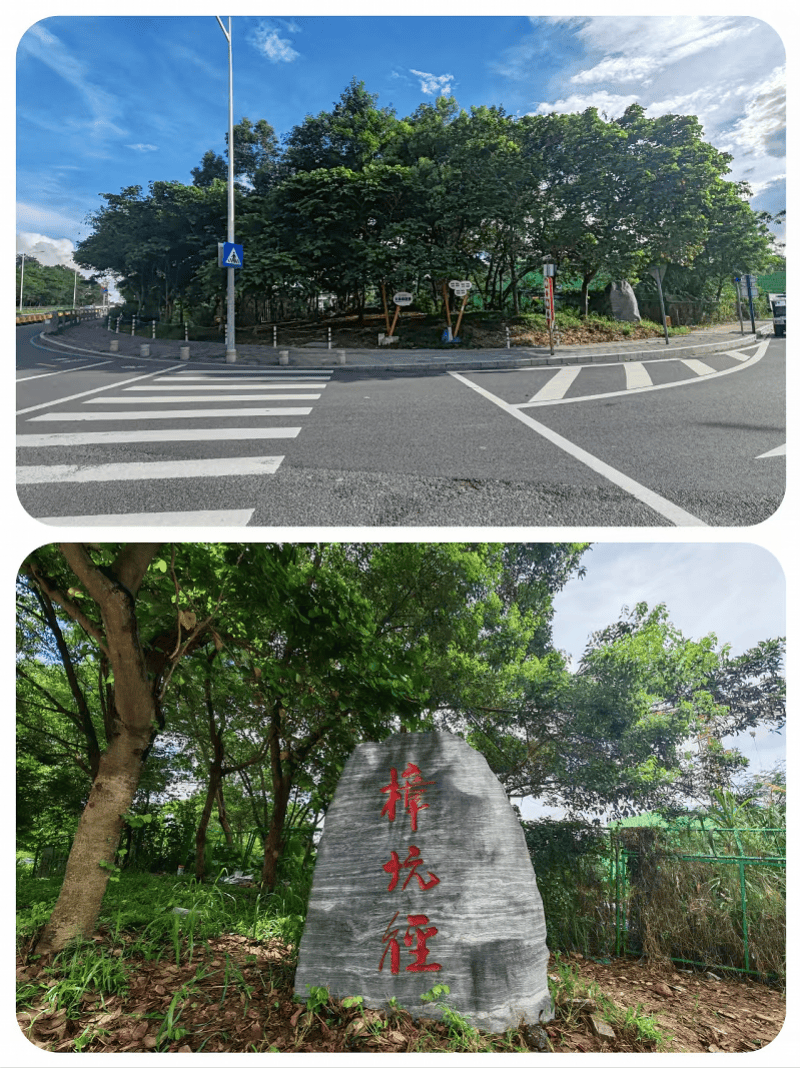 硬质围挡 + 艺术焕新 龙华一社区整治占绿违停乱象