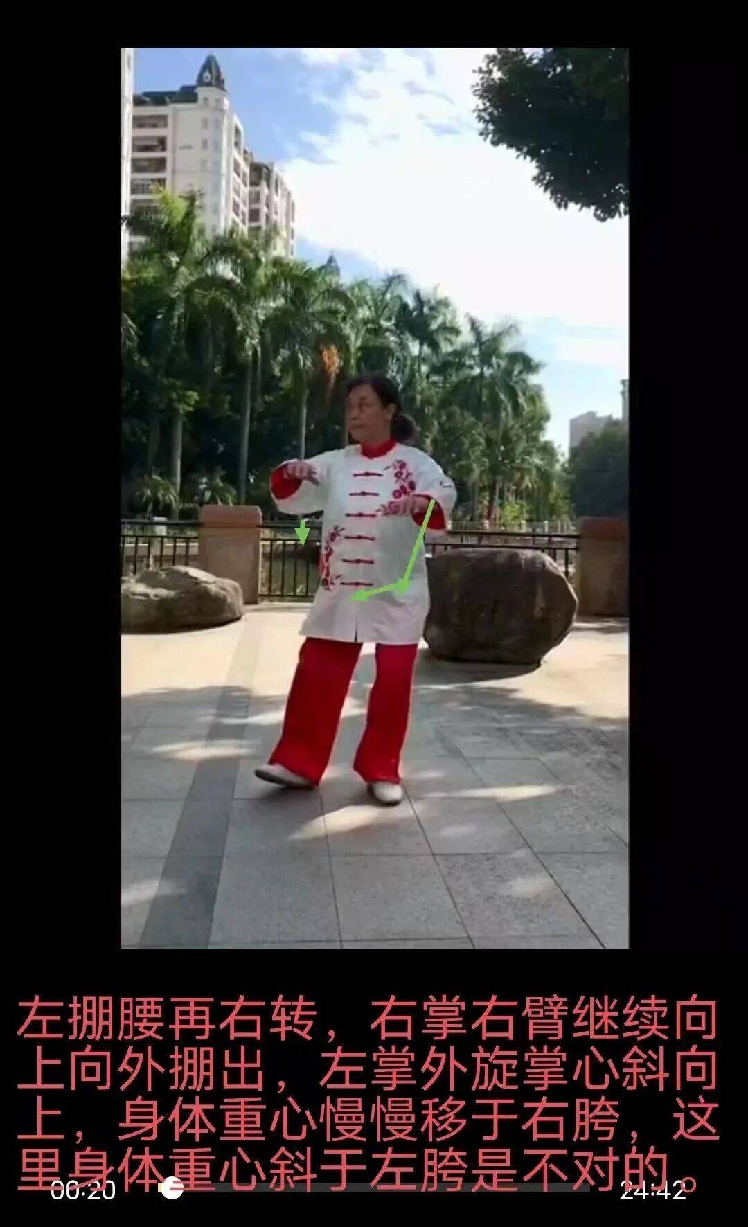 [每周点评]（27）陈英霞85太极拳架左掤图解