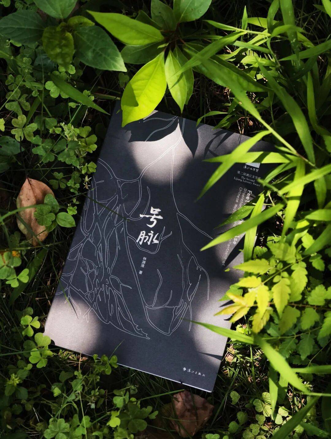 《号脉》新书活动招募 | 吵了200年，中西医到底该听谁的？一位业内人士的坦白局