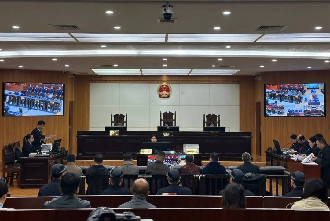 一只“出逃”穿山甲撕开野生动物地下交易网