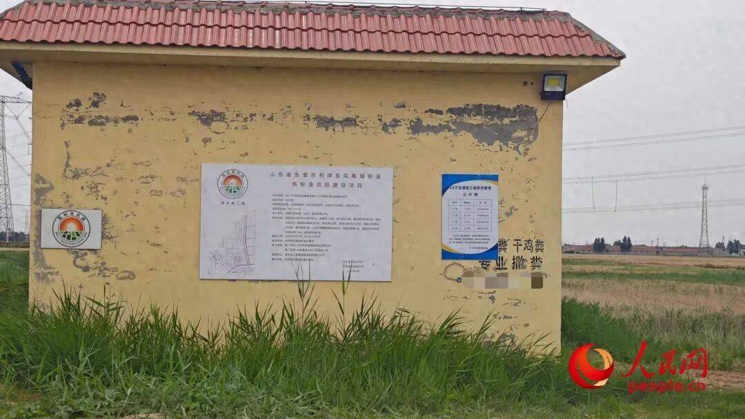 山东利津:验收过关的6000亩灌溉项目沦为摆设 为何纸面惠民(图1) 文章配图-1