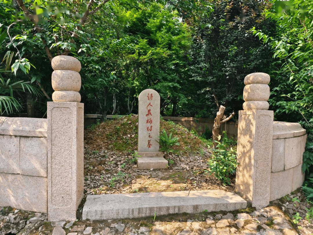 文章配图-12