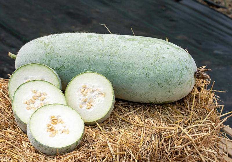 原创            冬瓜再次引起关注，医生：常吃冬瓜的，或能引起身体5处变化