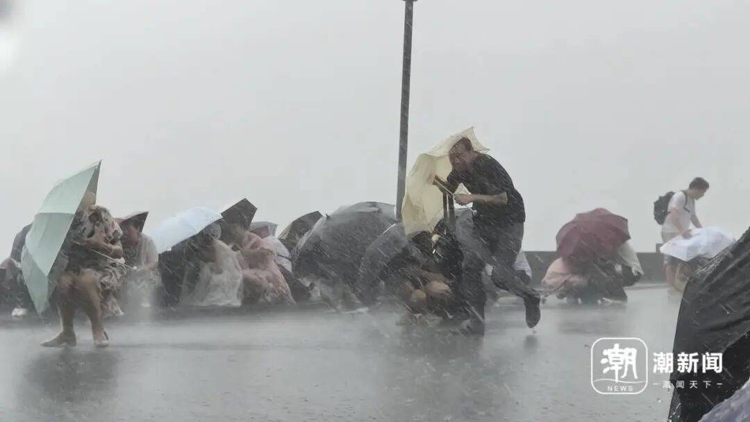 杭州全市有序停课