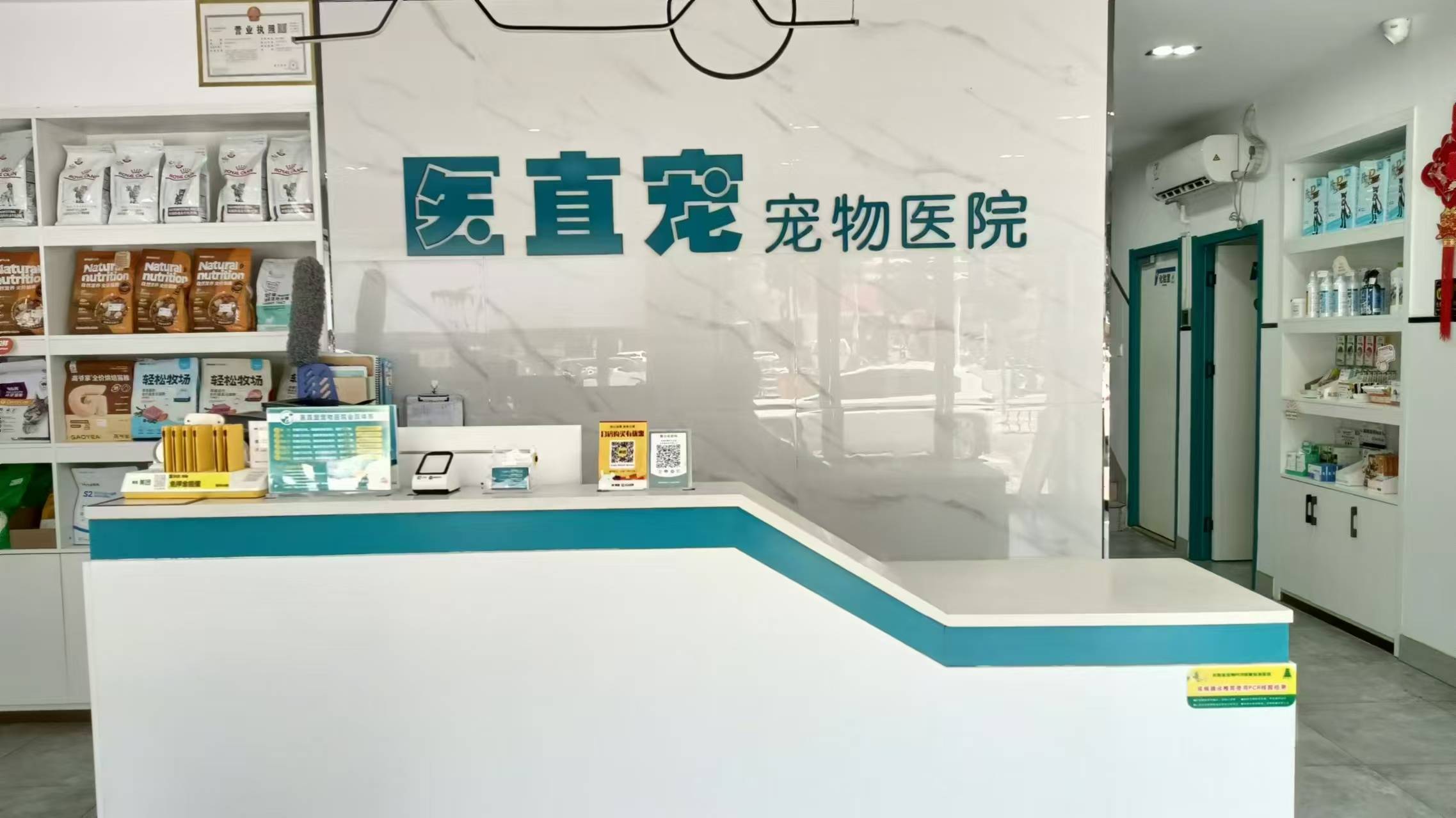正规宠物口腔科医院哪家好,资深口腔专科动物医院性价比分析_诊疗_问题_治疗
