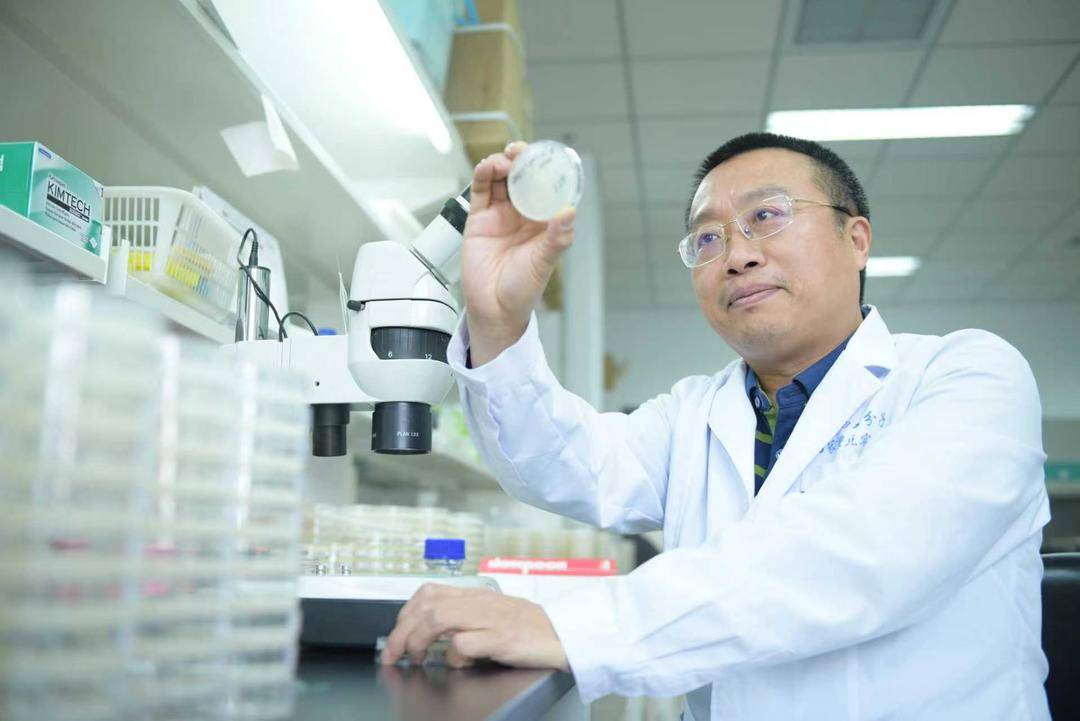 专访2026未来科学大奖生命科学奖得主张宏院士：无欲则刚｜院士上封面