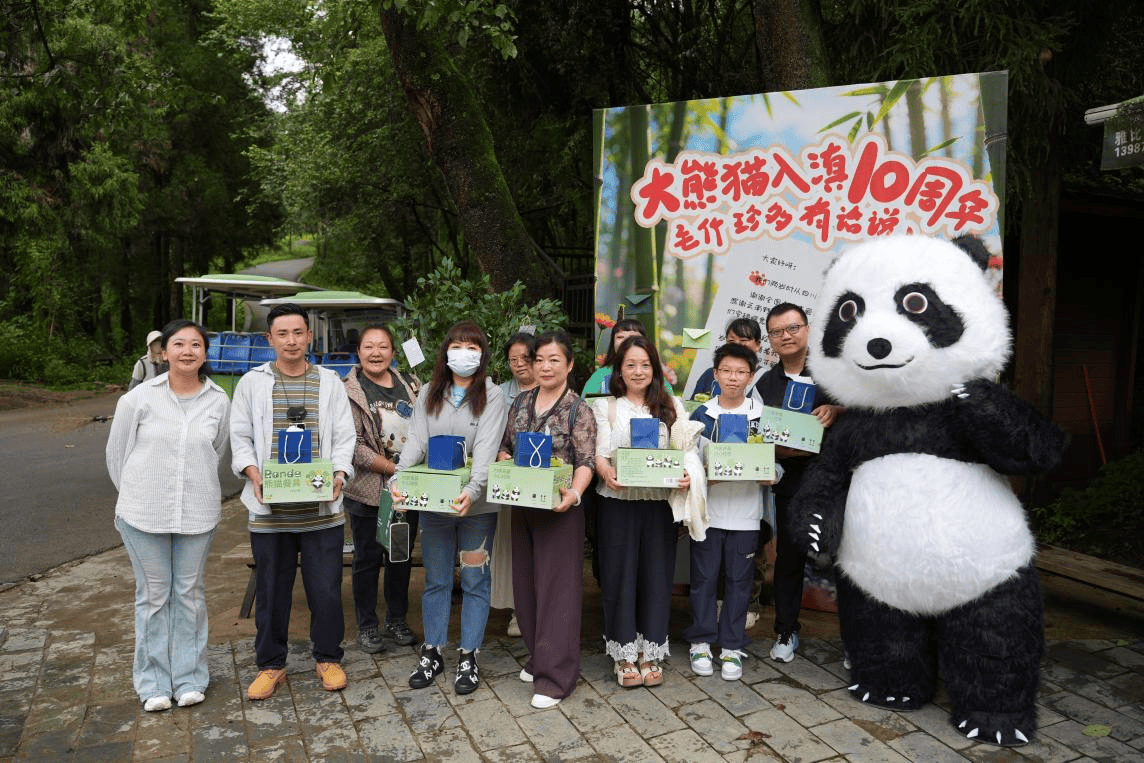 大熊猫入滇十周年：云南野生动物园代国宝献给春城一封“情书”