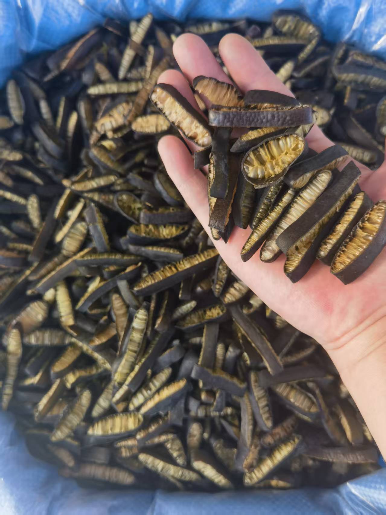 冰笋在山东市场走俏 特色水产食材助力企业提质增效_加工_海产品_应用