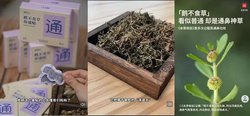 鼻炎贴乱象:不吃药不手术、贴上就能治鼻炎、可缩小腺样体(图1) 文章配图-1