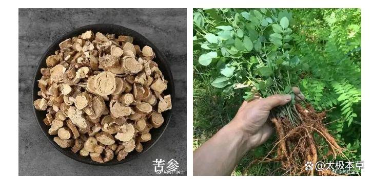 原创            天热就浑身皮肤痒？苦参艾叶外洗方，清热祛湿止痒