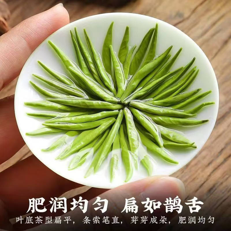 内江诚信的壁潭飘雪门店选择标准：从源头到茶杯的全链路把关